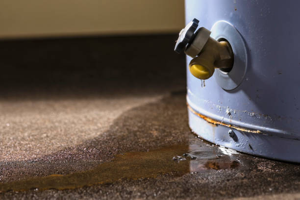 Best Water damage cleanup near me  in Walnut Creek, NC