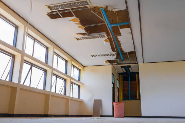 Best Local water damage restoration  in Walnut Creek, NC
