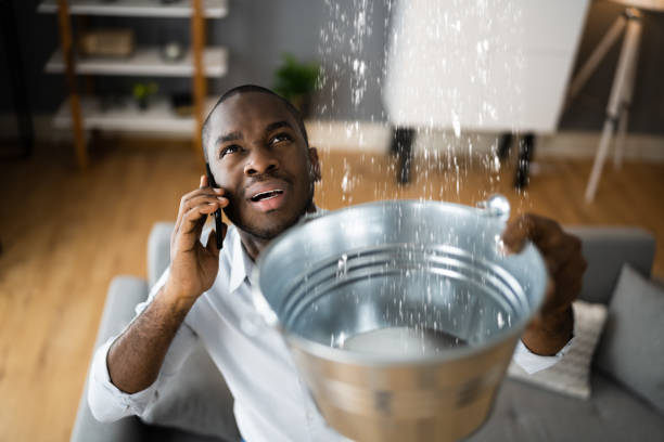 Best Flood damage cleanup  in Walnut Creek, NC