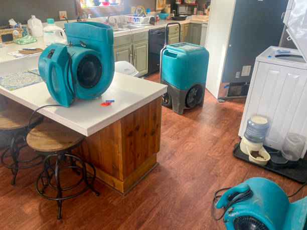 Best 24/7 water damage repair  in Walnut Creek, NC