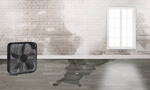 Best Flood restoration services  in Walnut Creek, NC