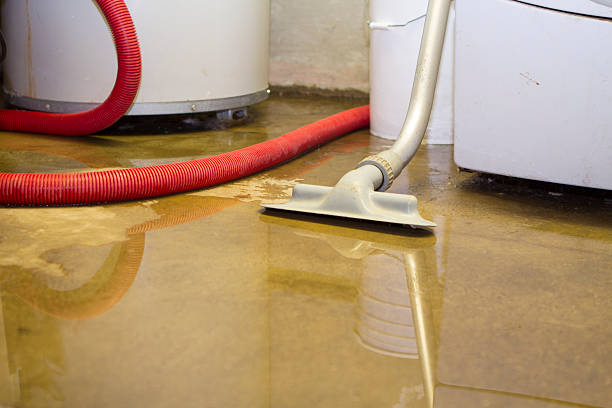 Best Sewage cleanup and water damage restoration  in Walnut Creek, NC